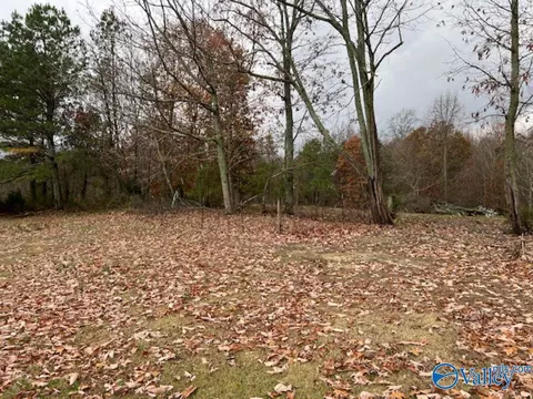 80 Vincent, Eva, AL 35621 photo 6