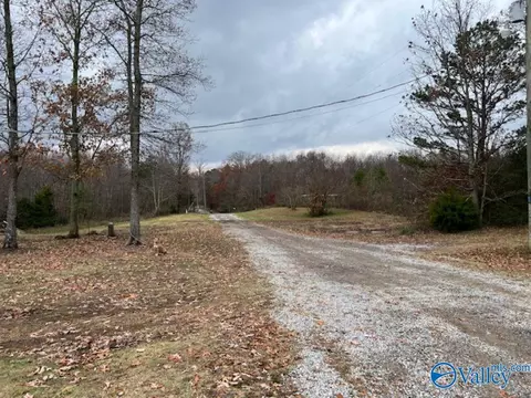 80 Vincent, Eva, AL 35621 photo 5
