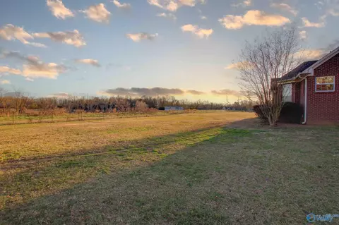 6720 County Road 214, Trinity, AL 35673 photo 35