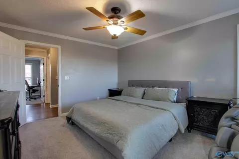 6720 County Road 214, Trinity, AL 35673 photo 16