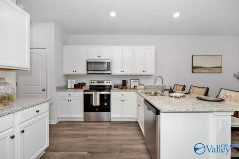 239 Maple Spring Trl, Madison, AL 35758 photo 12