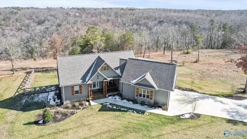 1333 County Road 224, Dutton, AL 35744 photo 31