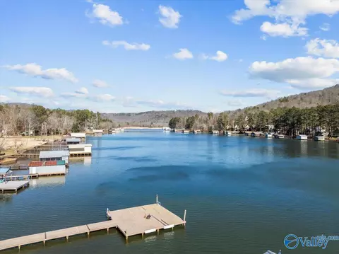 746 Honeycomb Rd, Grant, AL 35747 photo 44