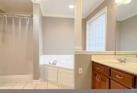 154 Forest Home Dr, Trinity, AL 35673 photo 11
