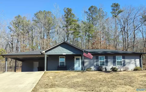 2210 Madison Loop, Southside, AL 35907 photo 1