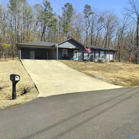 2210 Madison Loop, Southside, AL 35907 photo 4