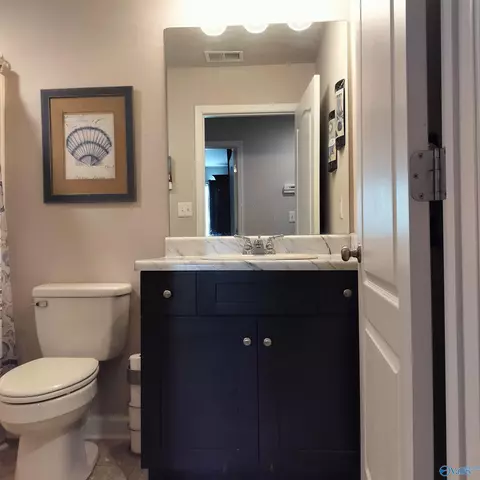 2210 Madison Loop, Southside, AL 35907 photo 16