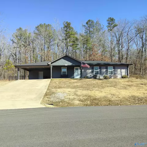 2210 Madison Loop, Southside, AL 35907 photo 3