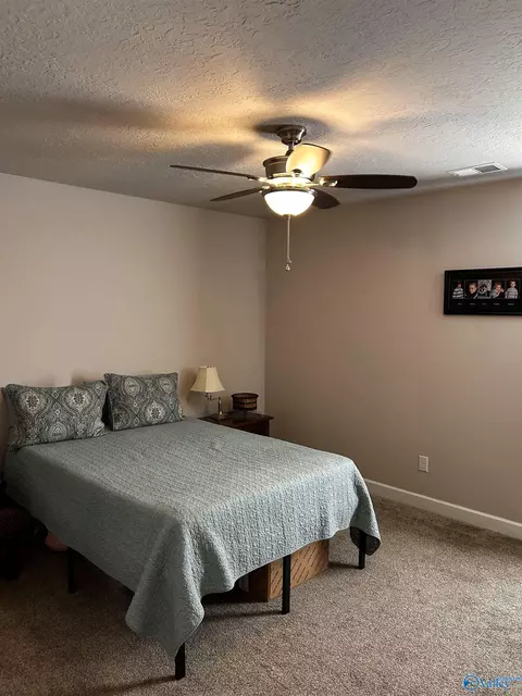 2210 Madison Loop, Southside, AL 35907 photo 18