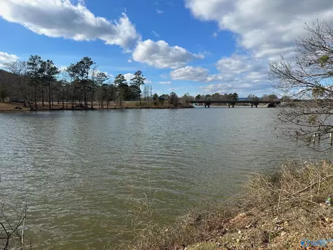 4 45 Acres Riddles Bend Rd, Rainbow City, AL 35906