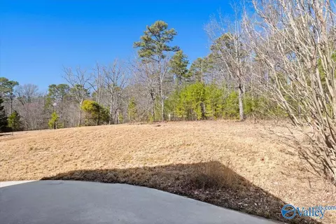 45 Given Cv, Laceys Spring, AL 35754 photo 41