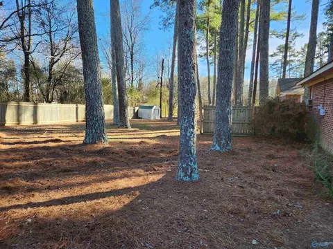 1006 7th Pl, Arab, AL 35016 photo 32