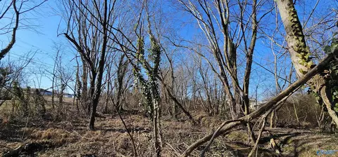 1 Acre Alabama Highway 227, Geraldine, AL 35974