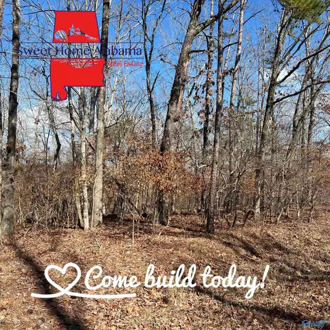 lot17 County Road 620, Cedar Bluff, AL 35959