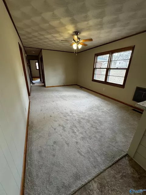 204 3rd St, Arab, AL 35016 photo 22