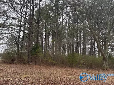 lot1 South Rd, Athens, AL 35613