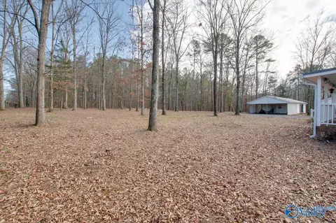 567 Starnes Loop Rd, Grant, AL 35747 photo 39