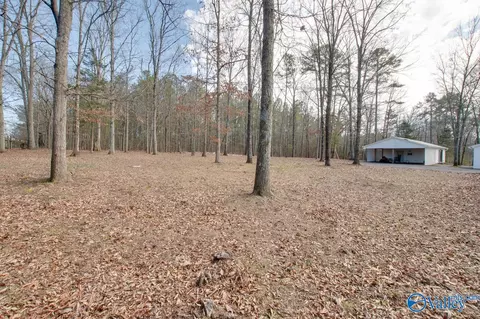 567 Starnes Loop Rd, Grant, AL 35747 photo 38