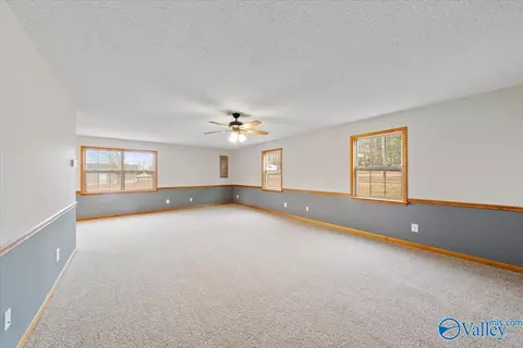 1705 County Road 358, Trinity, AL 35673 photo 28