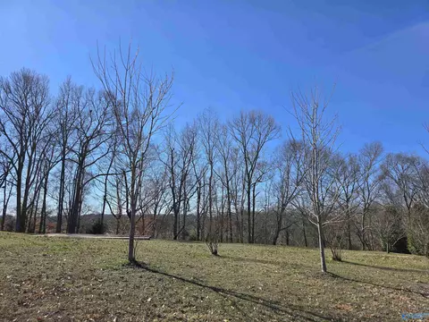 132 Southfork Dr, Huntsville, AL 35811