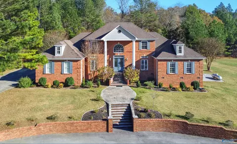 461 Cabbage Patch Rd, Laceys Spring, AL 35754 photo 1