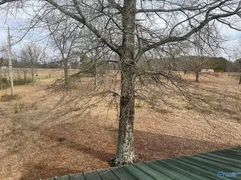 3113 Alabama Highway 40, Dutton, AL 35744 photo 14
