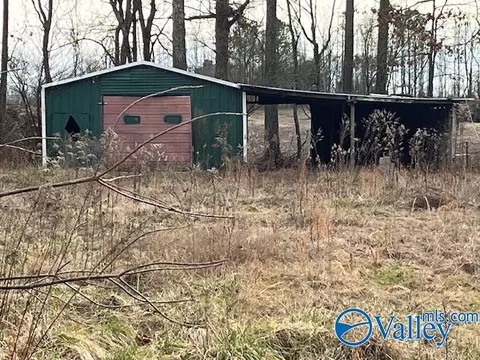 3113 Alabama Highway 40, Dutton, AL 35744 photo 5