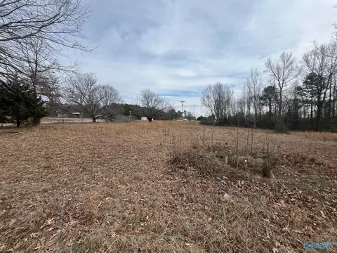 3113 Alabama Highway 40, Dutton, AL 35744 photo 4