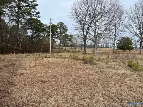 3113 Alabama Highway 40, Dutton, AL 35744 photo 16