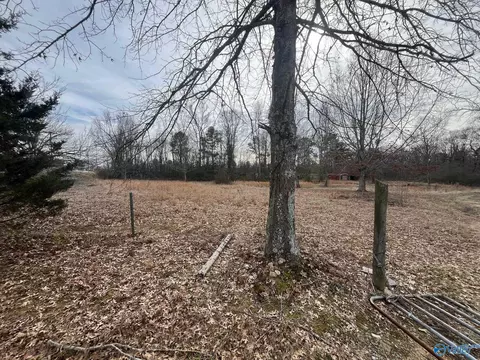 3113 Alabama Highway 40, Dutton, AL 35744 photo 2