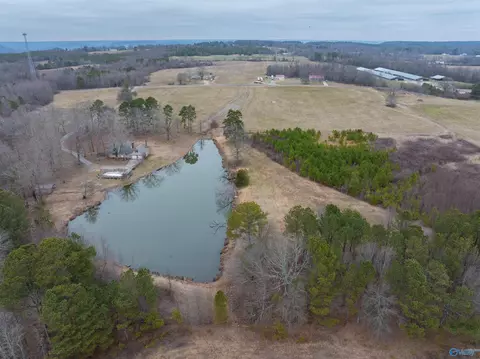 552 S County Road 66, Section, AL 35771 photo 41