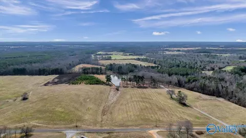 552 S County Road 66, Section, AL 35771 photo 32