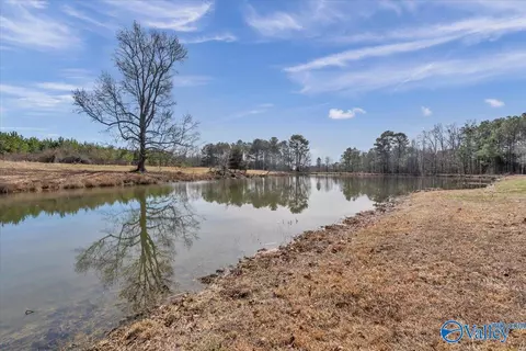 552 S County Road 66, Section, AL 35771 photo 15