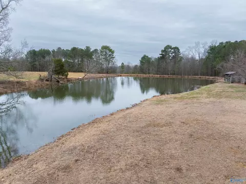 552 S County Road 66, Section, AL 35771 photo 13