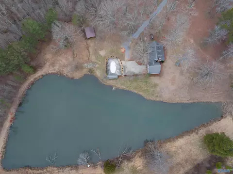 552 S County Road 66, Section, AL 35771 photo 38