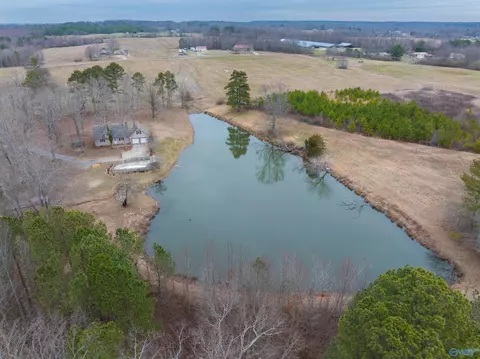 552 S County Road 66, Section, AL 35771 photo 33
