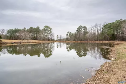 552 S County Road 66, Section, AL 35771 photo 39