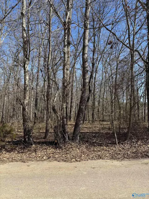 1 Acre Honea Rd, Hazel Green, AL 35750