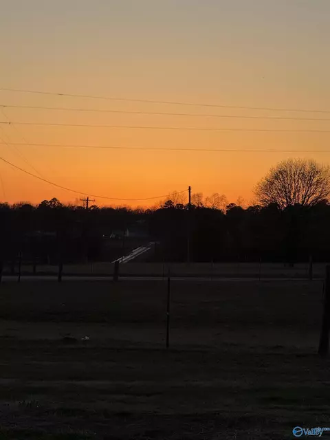 4769 County Road 124, Dutton, AL 35744 photo 27