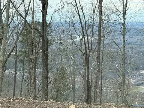 14040 Monte Vedra Rd, Huntsville, AL 35803