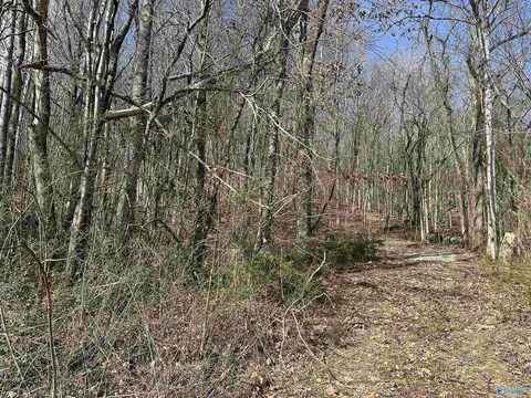 5 Acres Hurricane Rd, New Market, AL 35761