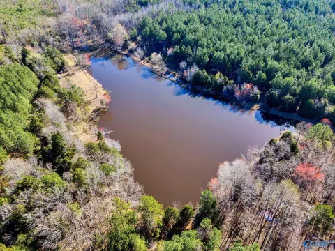 10184 Hwy 101, Town Creek, AL 35672