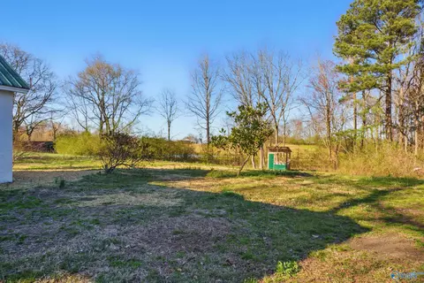5306 Highway 55 E, Eva, AL 35621 photo 12