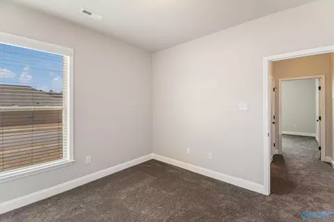 129 Riverfront Dr, Madison, AL 35756 photo 20