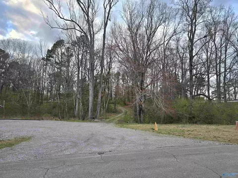 10 E Lacon Rd, Falkville, AL 35622