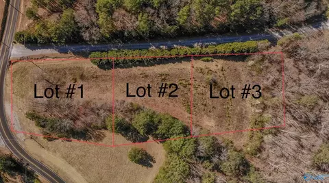 lot2 Wyeth Mountain Rd, Guntersville, AL 35976