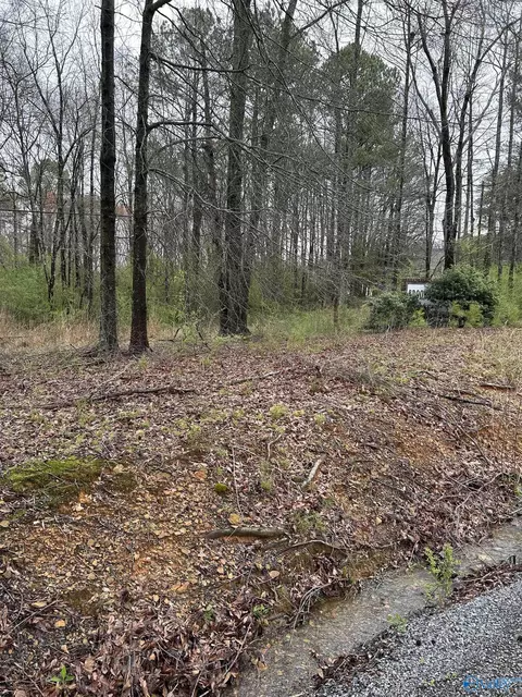lot10 095 Ac Dry Creek Rd, Cleveland, AL 35049