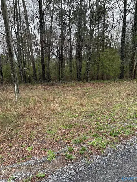 lot11 091 Ac Dry Creek Rd, Cleveland, AL 35049