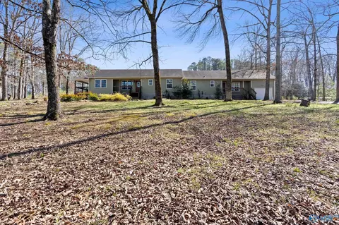 317 Austinville Flint Rd, Decatur, AL 35603