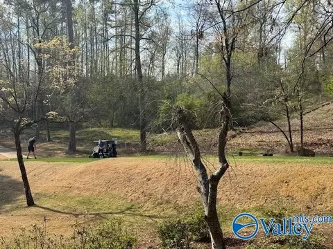 lot62 Heritage Dr, Guntersville, AL 35976